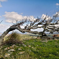 Libri & Guide su Minorca